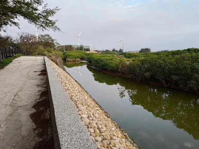 桃園觀新藻礁生態系野生動物保護區