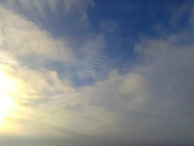 桃園觀新藻礁生態系野生動物保護區