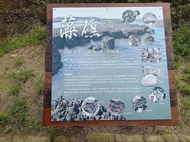 桃園觀新藻礁生態系野生動物保護區