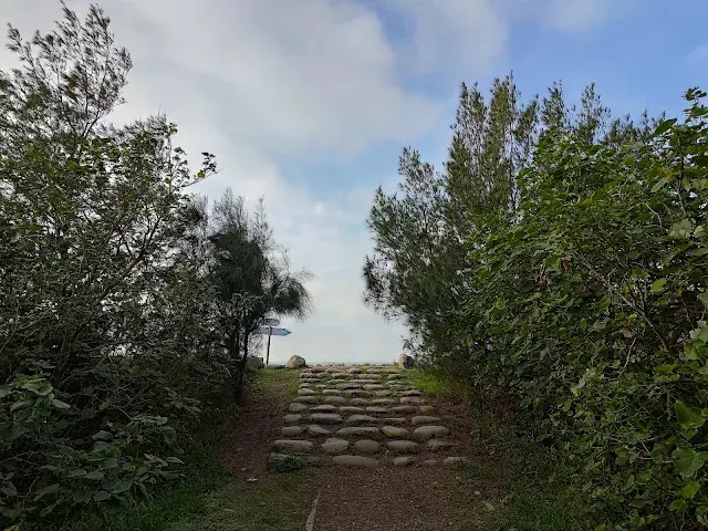 桃園觀新藻礁生態系野生動物保護區