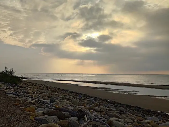 桃園觀新藻礁生態系野生動物保護區