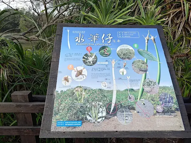 桃園觀新藻礁生態系野生動物保護區