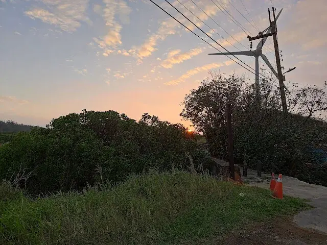 桃園觀新藻礁生態系野生動物保護區