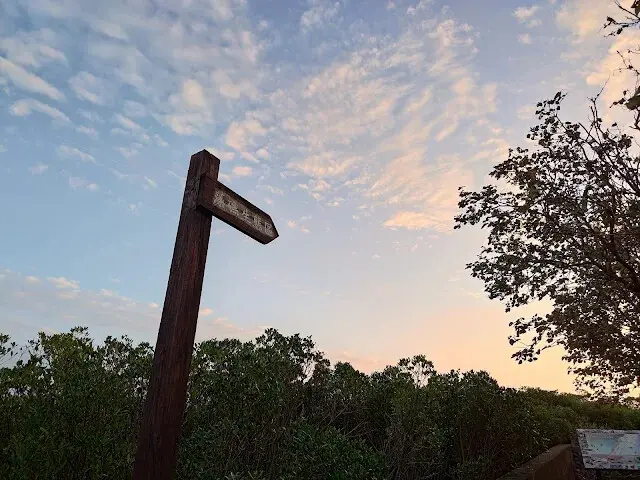 桃園觀新藻礁生態系野生動物保護區