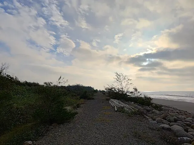 桃園觀新藻礁生態系野生動物保護區