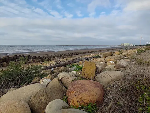 桃園觀新藻礁生態系野生動物保護區