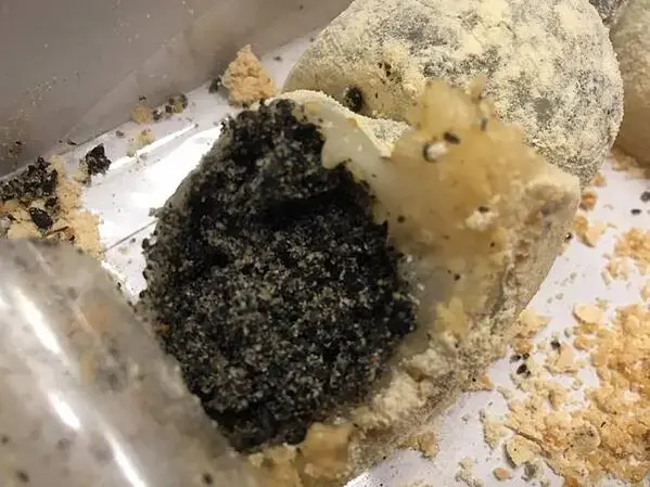 LINE_ALBUM_20211211台中彰化一日遊_211219_11