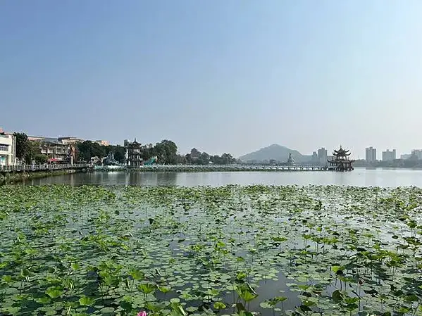 LINE_ALBUM_202342高雄第二天_230405_161