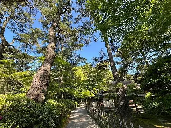 LINE_ALBUM_20240504高松_240531_101