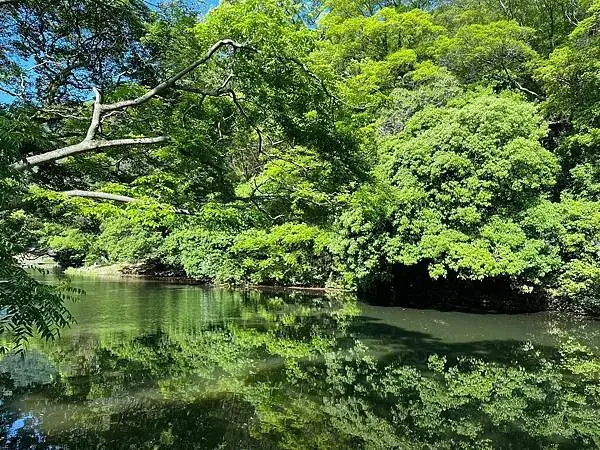 LINE_ALBUM_20240504高松_240531_108