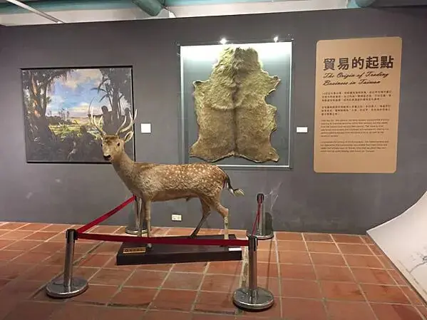 20201125-台南day03安平_201205_64