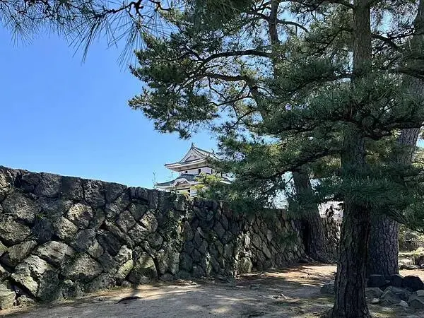 LINE_ALBUM_20240504高松_240531_60