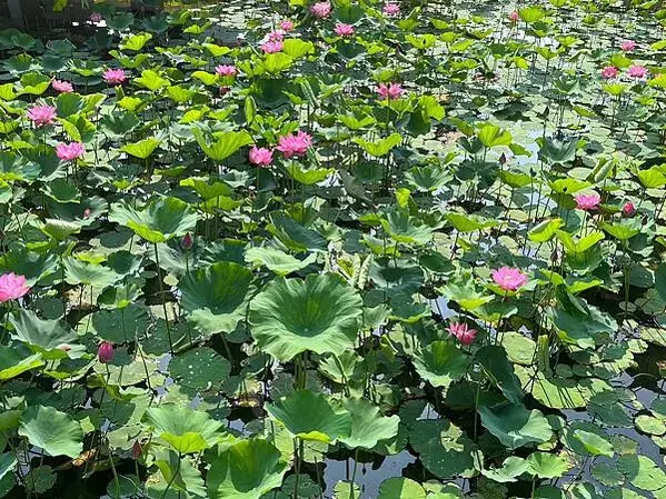 LINE_ALBUM_202342高雄第二天_230405_163