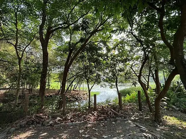 LINE_ALBUM_202342高雄第二天_230405_154