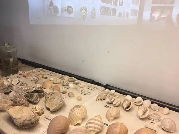 20201125-台南day03安平_201205_49