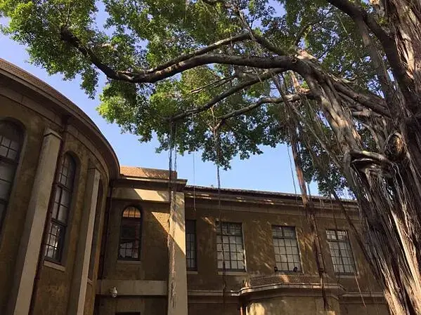 20201124-台南Day 02_201205_44