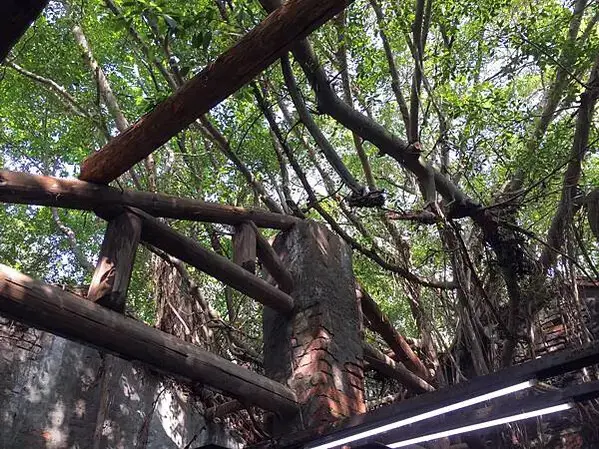 20201125-台南day03安平_201205_56