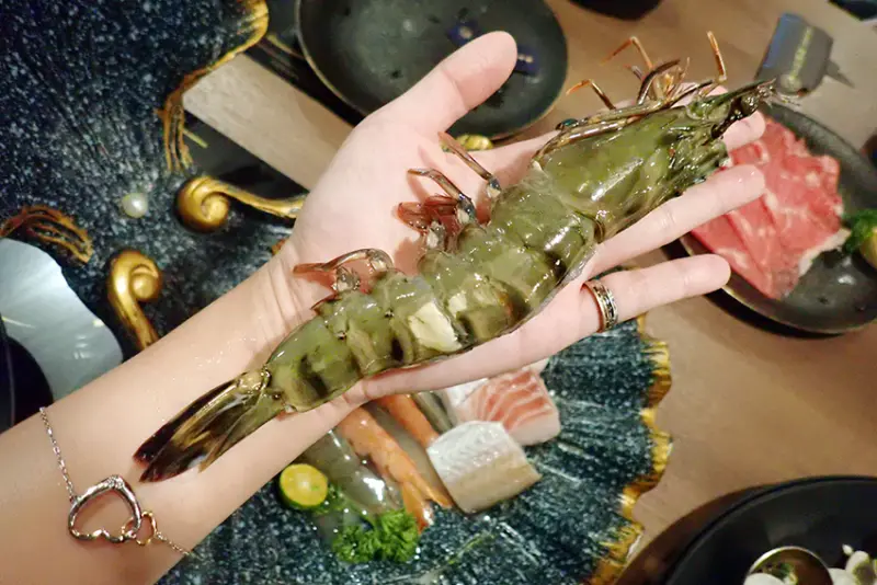 蘆竹火鍋推薦│金蒔鍋物-桃園大竹總店，歐系質感，湯頭必推 #大海的饋禮# 鮮味畢生難忘│蘆竹美食推薦2025