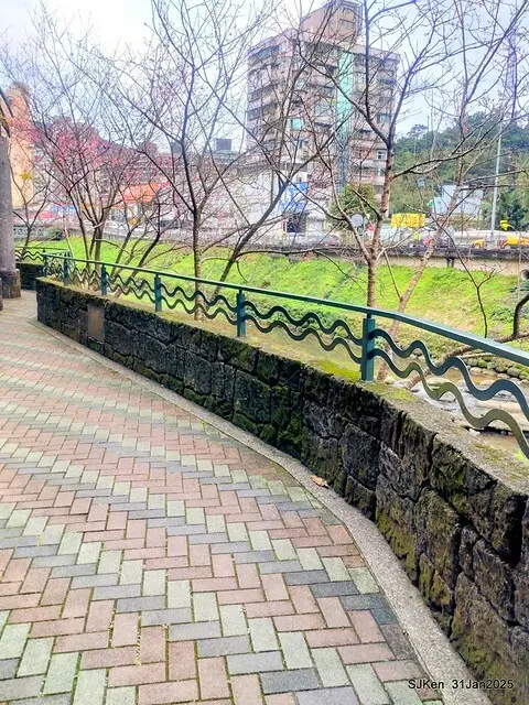 2025雙北平地賞櫻第四拍( --- 汐止文化櫻花季康誥溪櫻花大道(Cherry Blossoms at the creekside of Kangau creek), Hsingi district, Hsinpei city, SJKen, Jan 31, 2025.