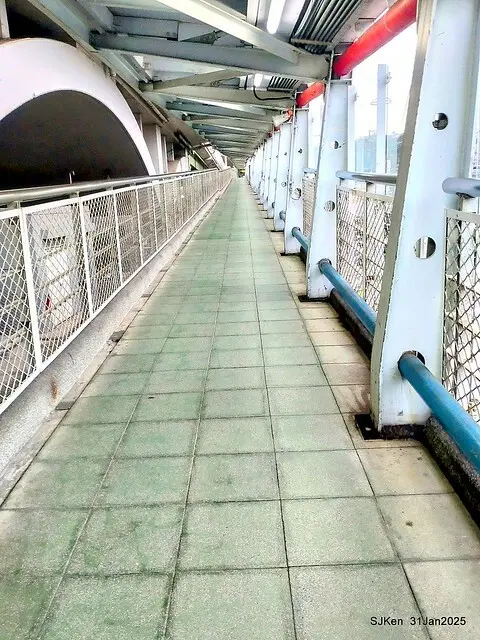 2025雙北平地賞櫻第四拍( --- 汐止文化櫻花季康誥溪櫻花大道(Cherry Blossoms at the creekside of Kangau creek), Hsingi district, Hsinpei city, SJKen, Jan 31, 2025.