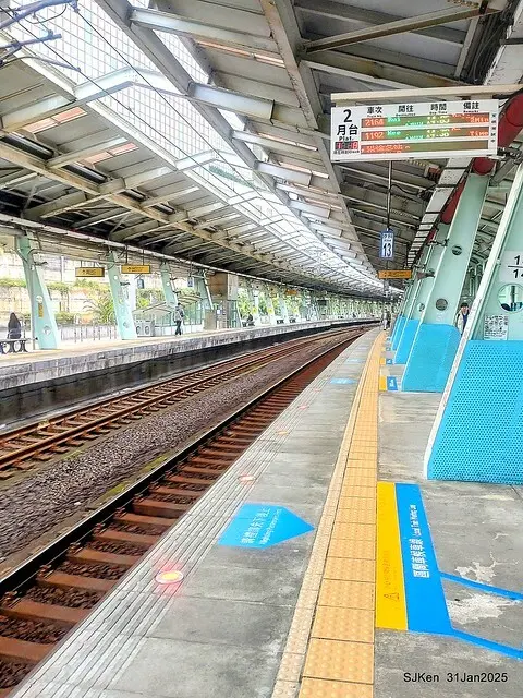 2025雙北平地賞櫻第四拍( --- 汐止文化櫻花季康誥溪櫻花大道(Cherry Blossoms at the creekside of Kangau creek), Hsingi district, Hsinpei city, SJKen, Jan 31, 2025.