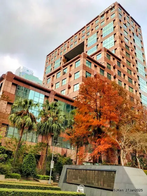 中國銀行台北分行左側櫻花林(Cherry Blossom at Taipei bank branck, China Bank, Taipei, Taiwan, SJKen , Jan 27, 2025