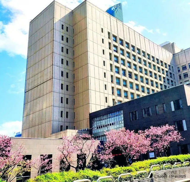 (2025 雙北平地賞櫻系列第六拍)「台北市政府北大門旁賞櫻」(Cherry Blossoms at north door of Taipei City Hall , Feb 15, 2025.