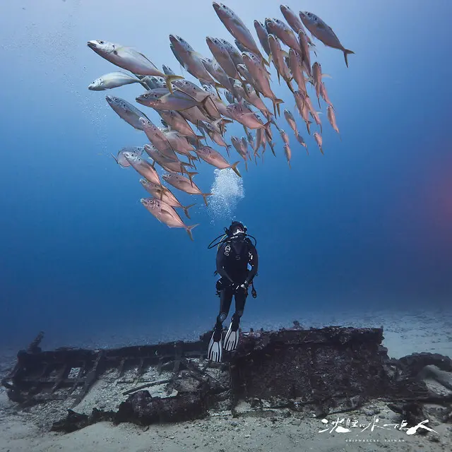 2025 Taiwan record movie 