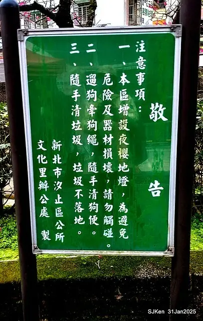 2025雙北平地賞櫻第四拍( --- 汐止文化櫻花季康誥溪櫻花大道(Cherry Blossoms at the creekside of Kangau creek), Hsingi district, Hsinpei city, SJKen, Jan 31, 2025.