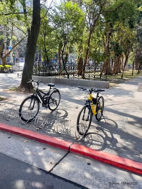 2025 雙北平地賞櫻系列第七拍---國父紀念館八重櫻與山櫻花(Prunus campanulata Maxim and Taiwan Cherry at Dr. Sun Yat-Sen Memorial Hall，by SJKen,  Feb  15, 2025)