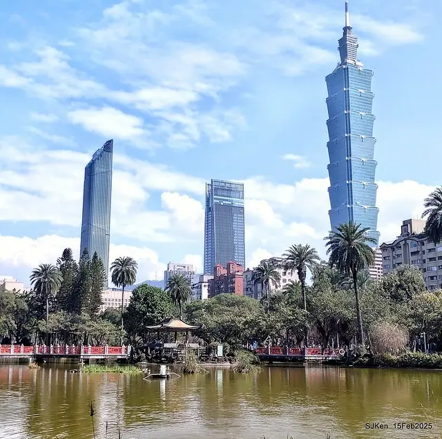 2025 雙北平地賞櫻系列第七拍---國父紀念館八重櫻與山櫻花(Prunus campanulata Maxim and Taiwan Cherry at Dr. Sun Yat-Sen Memorial Hall，by SJKen,  Feb  15, 2025)