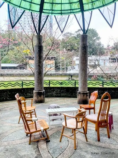 2025雙北平地賞櫻第四拍( --- 汐止文化櫻花季康誥溪櫻花大道(Cherry Blossoms at the creekside of Kangau creek), Hsingi district, Hsinpei city, SJKen, Jan 31, 2025.