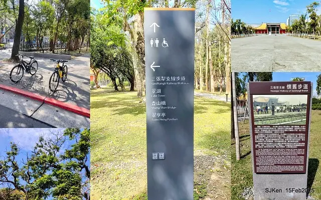 2025 雙北平地賞櫻系列第七拍---國父紀念館八重櫻與山櫻花(Prunus campanulata Maxim and Taiwan Cherry at Dr. Sun Yat-Sen Memorial Hall，by SJKen,  Feb  15, 2025)