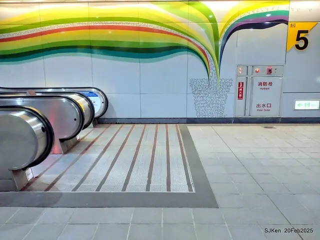 2025台北大安森林公園繡球花展(Hydrangeas exhibition at Da-An forest park), Taipei,  Taiwan, SJKen, Feb 20, 2025.
