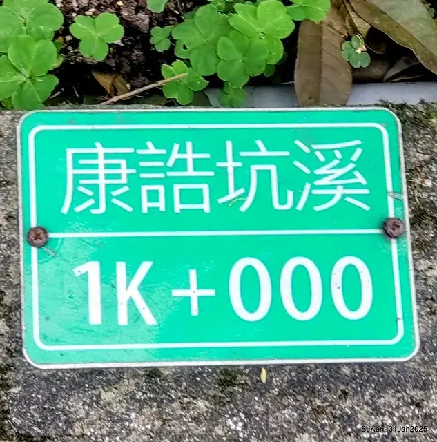 2025雙北平地賞櫻第四拍( --- 汐止文化櫻花季康誥溪櫻花大道(Cherry Blossoms at the creekside of Kangau creek), Hsingi district, Hsinpei city, SJKen, Jan 31, 2025.