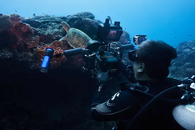 2025 Taiwan record movie 