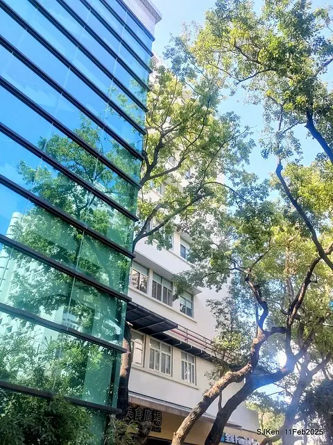 台北榮總忘憂湖水鳥與游魚(Waterbirds and fish at the lake of Taipei Veterans General Hospital)，Taipie, Taiwan, SJKen, Feb 11, 2025.