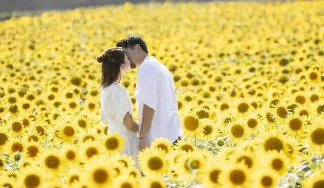 The TV programme posters and stills of Season 1 of 