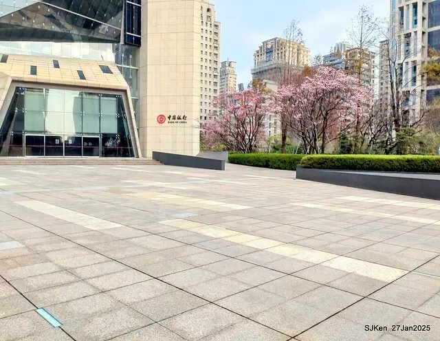 中國銀行台北分行左側櫻花林(Cherry Blossom at Taipei bank branck, China Bank, Taipei, Taiwan, SJKen , Jan 27, 2025