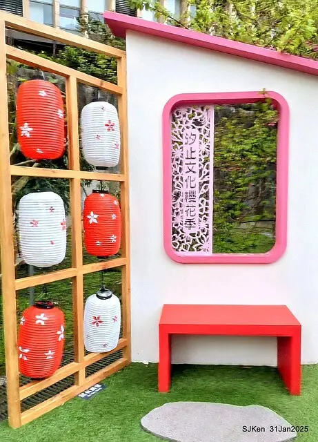 2025雙北平地賞櫻第四拍( --- 汐止文化櫻花季康誥溪櫻花大道(Cherry Blossoms at the creekside of Kangau creek), Hsingi district, Hsinpei city, SJKen, Jan 31, 2025.