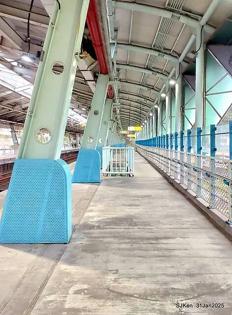 2025雙北平地賞櫻第四拍( --- 汐止文化櫻花季康誥溪櫻花大道(Cherry Blossoms at the creekside of Kangau creek), Hsingi district, Hsinpei city, SJKen, Jan 31, 2025.