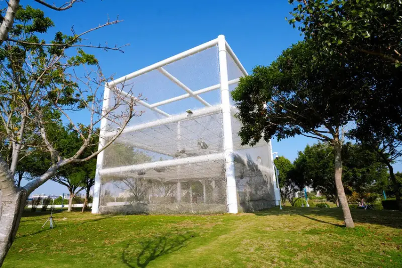 全台最長32M雙軌滑索「台中中央公園飛行美樂地」，主題式飛行