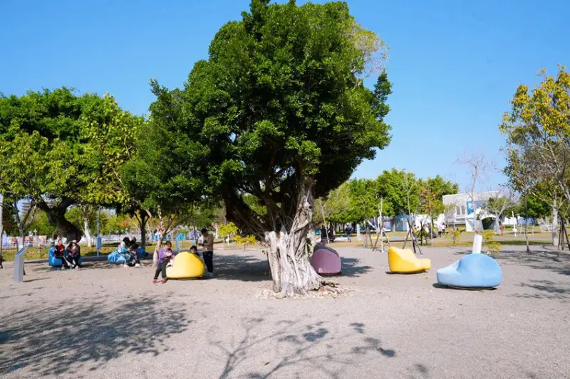 全台最長32M雙軌滑索「台中中央公園飛行美樂地」，主題式飛行