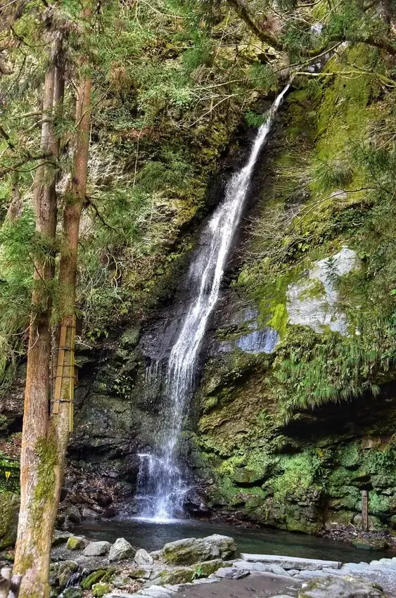 雄獅旅遊｜祖谷秘境葛藤橋
