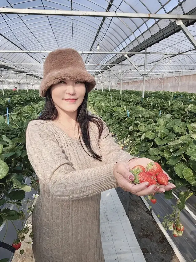 雄獅旅遊｜日本四國雙鐵道六天五夜行程推薦 伊予灘夕陽列車&千