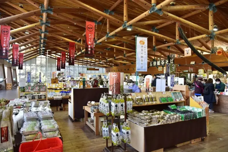 雄獅旅遊｜祖谷秘境葛藤橋