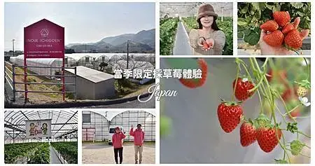 四國愛媛大三島｜INOUE ICHIGOEN草莓園 當季限定