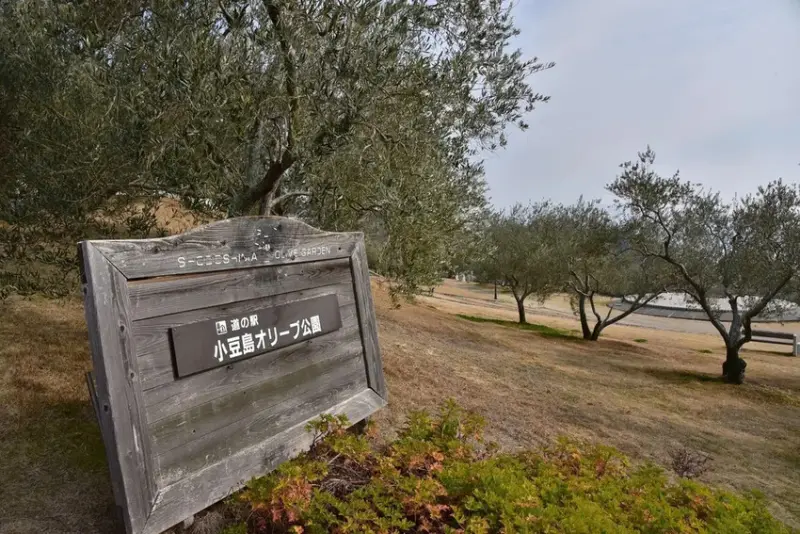 雄獅旅遊｜日本四國雙鐵道六天五夜行程推薦 伊予灘夕陽列車&千