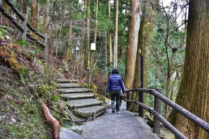 雄獅旅遊｜祖谷秘境葛藤橋