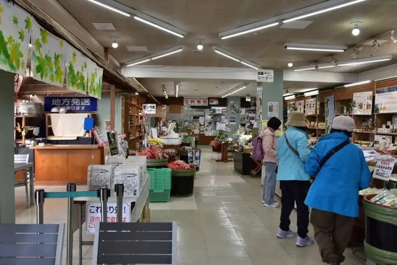 雄獅旅遊｜日本四國雙鐵道六天五夜行程推薦 伊予灘夕陽列車&千